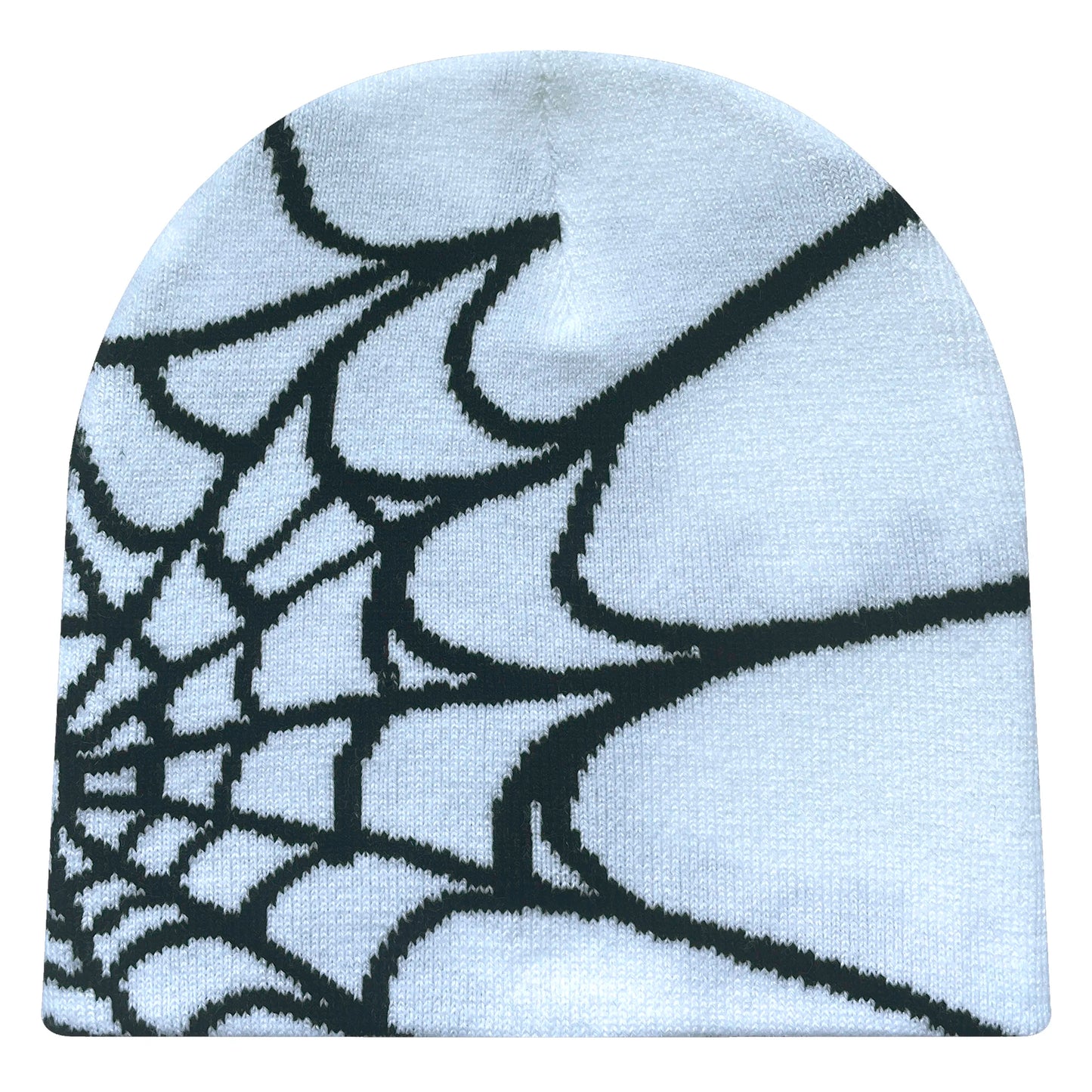 Spider Beanie